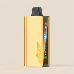 JNR VAPE Cruiser 12000パフ 充電不要のプレミアム使い捨てVAPE